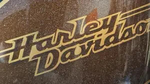 Harley-Davidson 1200 Forty-Eight (2010 - 15)  (4)