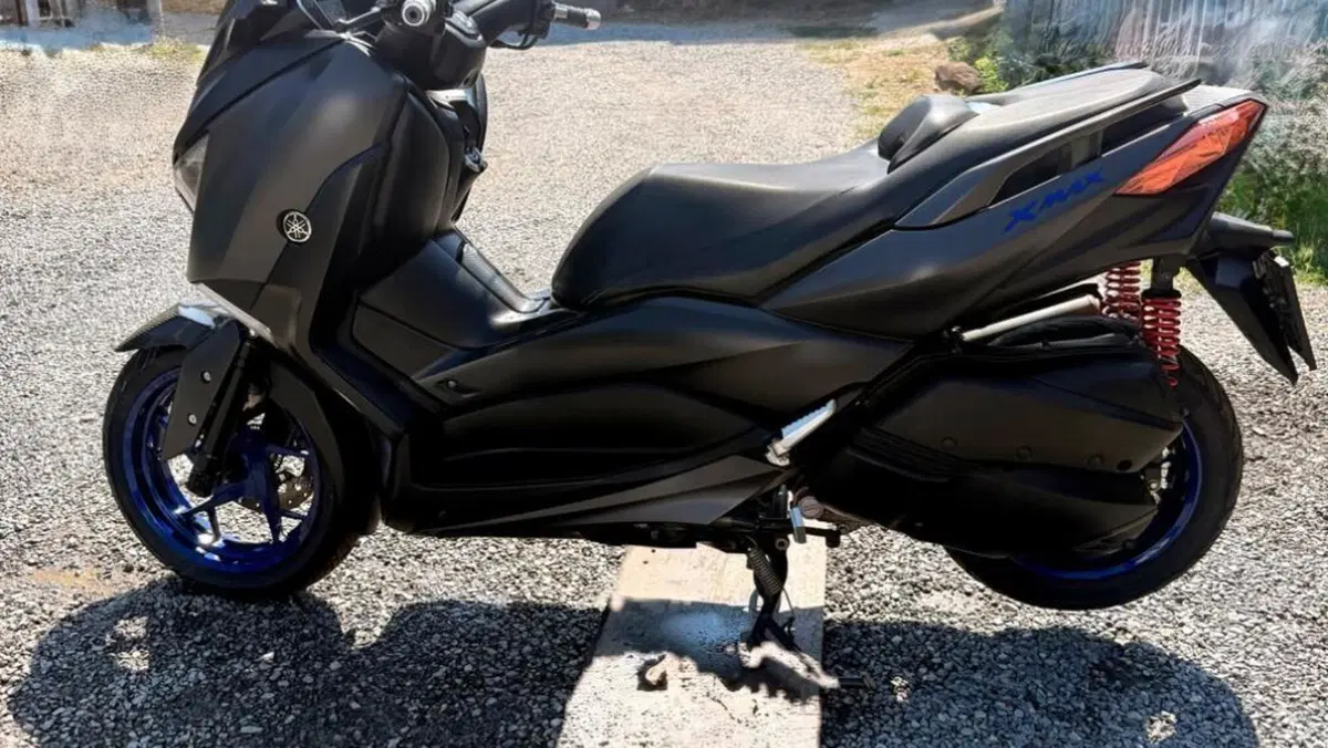 Yamaha X-Max 300 ABS (2017 - 20)  (5)