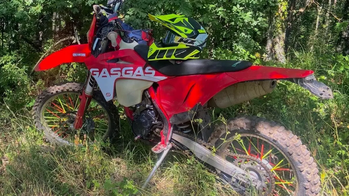 GASGAS EC 250 F (2021)  (6)