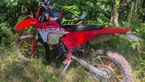 GASGAS EC 250 F (2021)  (6)