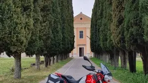 Moto Guzzi V85 TT Evocative Graphics (2021 - 23)  (5)