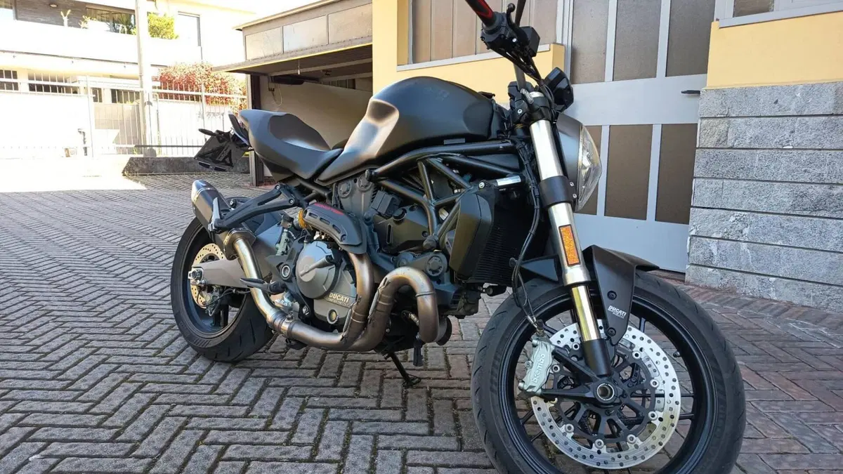 Ducati Monster 821 (2018 - 20)  (4)