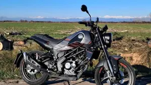 Benelli Leoncino 125 (2022 - 25) 