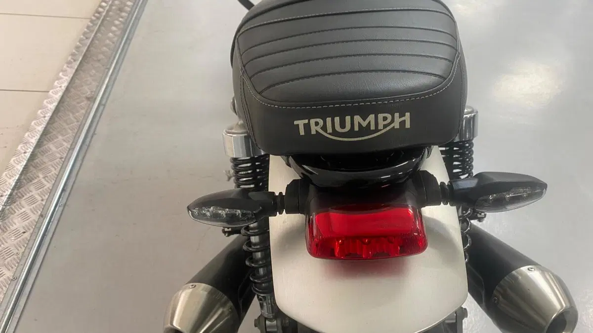 Triumph Speed Twin 1200 (2019 - 20)  (7)