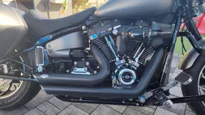 Harley-Davidson Sport Glide (2021 - 25)  (2)