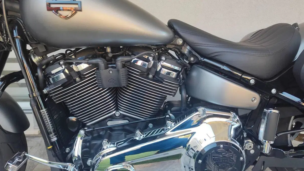 Harley-Davidson Sport Glide (2021 - 25)  (3)