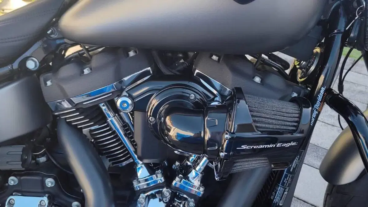 Harley-Davidson Sport Glide (2021 - 25)  (7)
