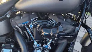 Harley-Davidson Sport Glide (2021 - 25)  (7)