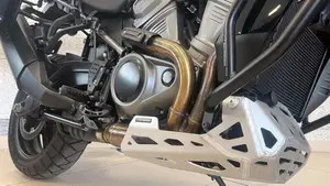 Harley-Davidson Pan America 1250 (2020 - 25)  (4)