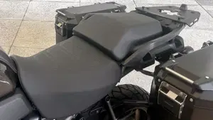 Harley-Davidson Pan America 1250 (2020 - 25)  (5)