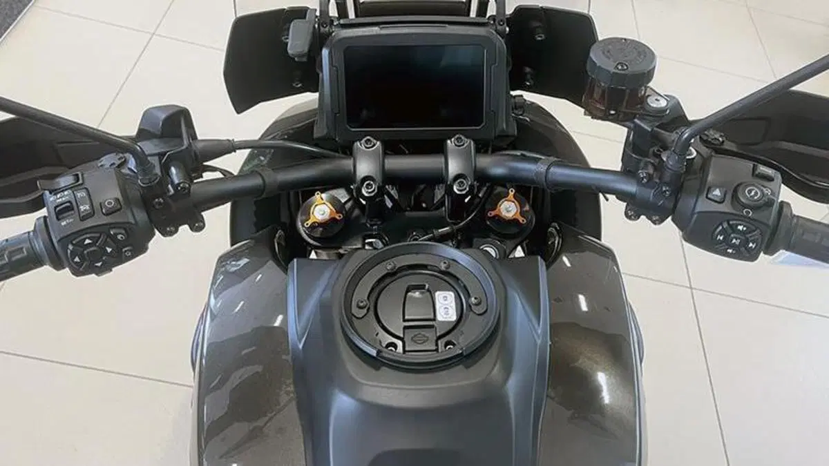 Harley-Davidson Pan America 1250 (2020 - 25)  (6)