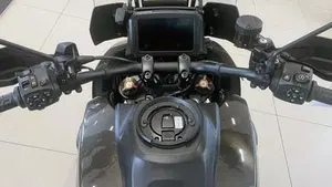 Harley-Davidson Pan America 1250 (2020 - 25)  (6)