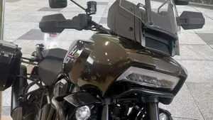 Harley-Davidson Pan America 1250 (2020 - 25)  (7)