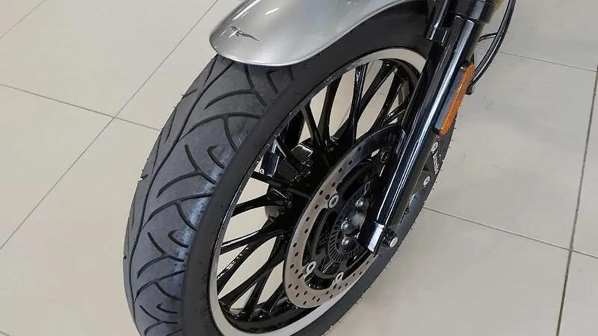 Moto Guzzi V9 Roamer (2021 - 24)  (9)