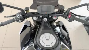 KTM 1290 Super Duke R (2019)  (6)