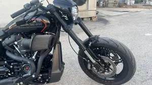 Harley-Davidson 114 FXDR (2019 - 20)  (8)