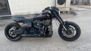 Harley-Davidson 114 FXDR (2019 - 20)  (13)