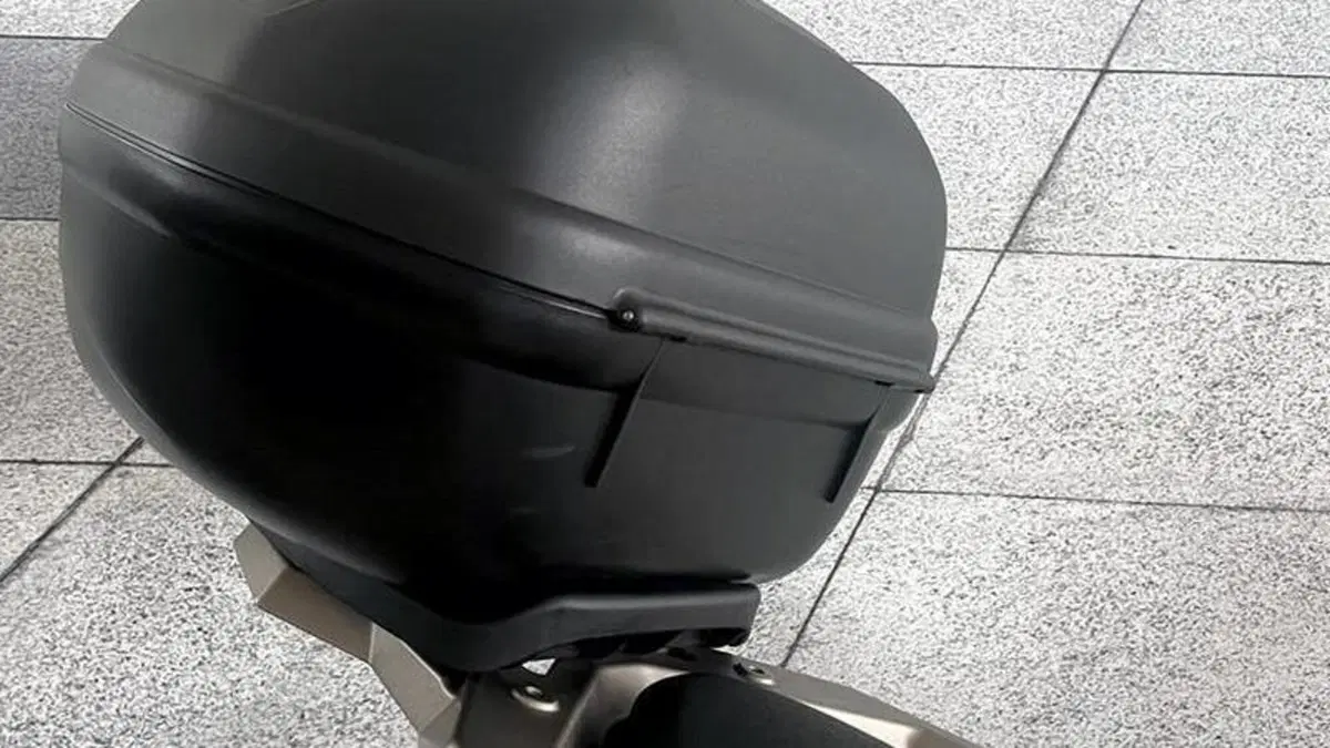 Zontes ZT310-R (2019 - 20)  (5)