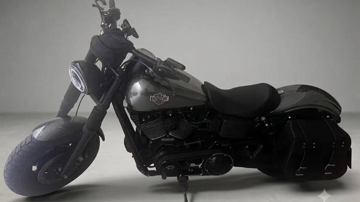Harley-Davidson 1584 Fat Bob (2007 - 13) - FXDF 