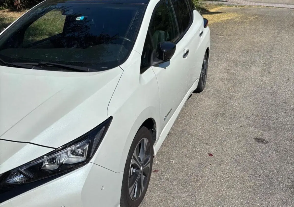 Nissan Leaf N-Connecta (2)