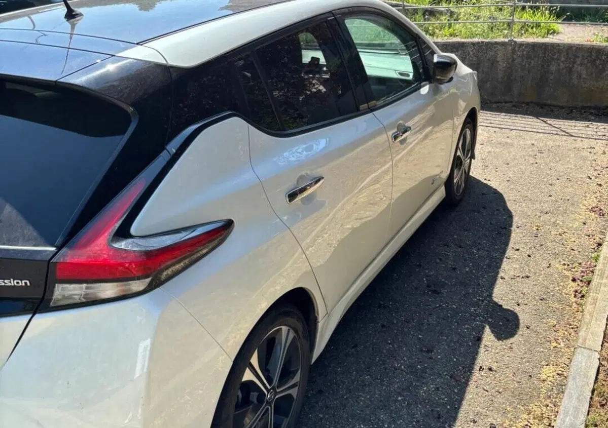 Nissan Leaf N-Connecta (4)