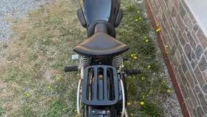 Triumph   (6)