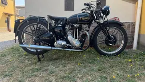 Triumph   (3)