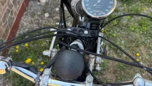 Triumph   (9)