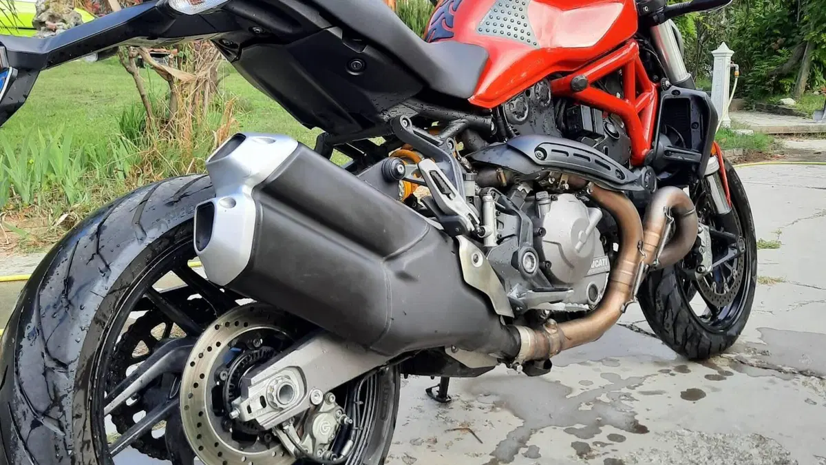 Ducati Monster 821 (2018 - 20)  (2)