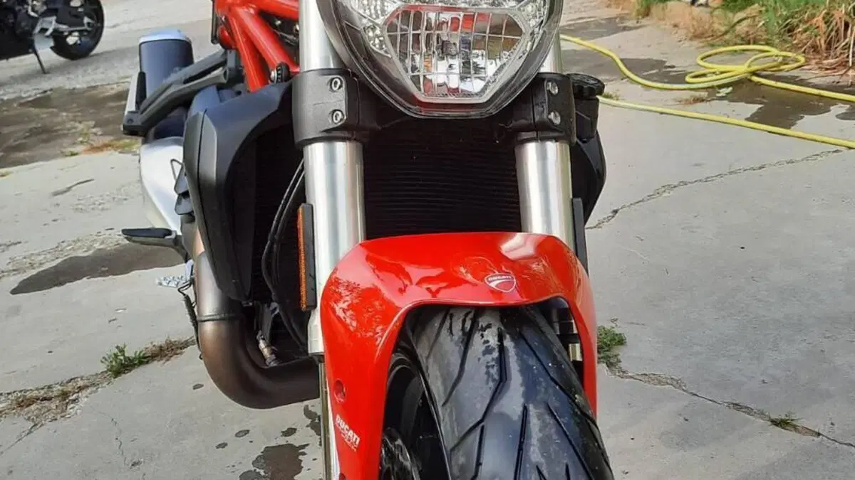 Ducati Monster 821 (2018 - 20)  (3)