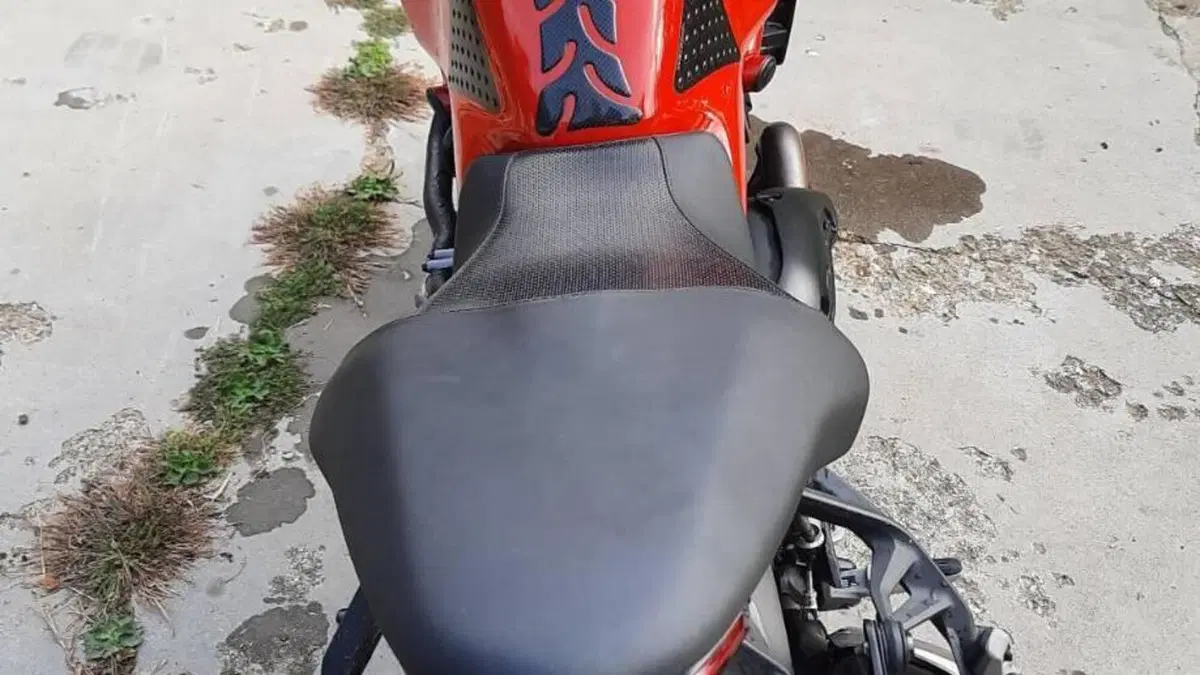 Ducati Monster 821 (2018 - 20)  (4)