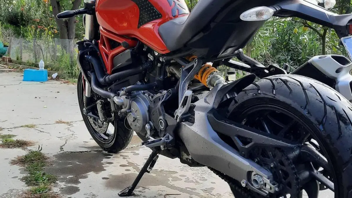 Ducati Monster 821 (2018 - 20)  (5)