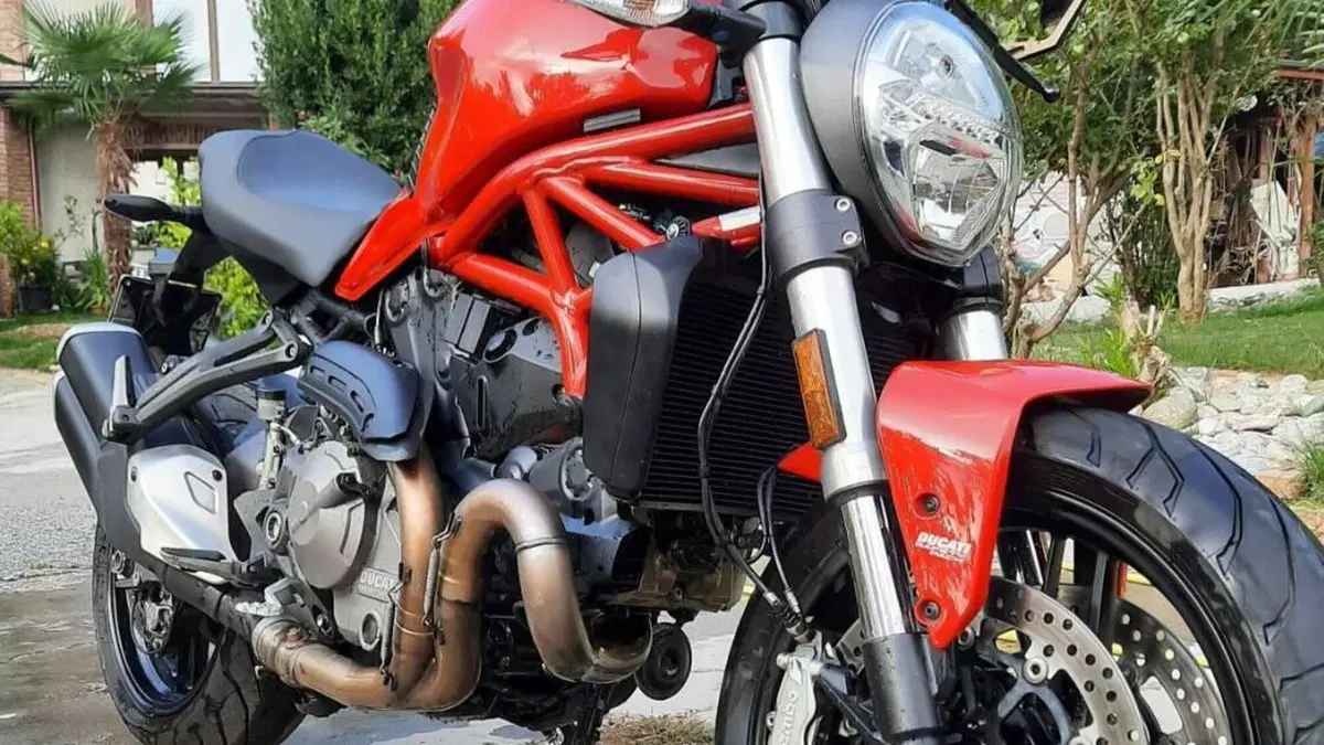 Ducati Monster 821 (2018 - 20)  (6)