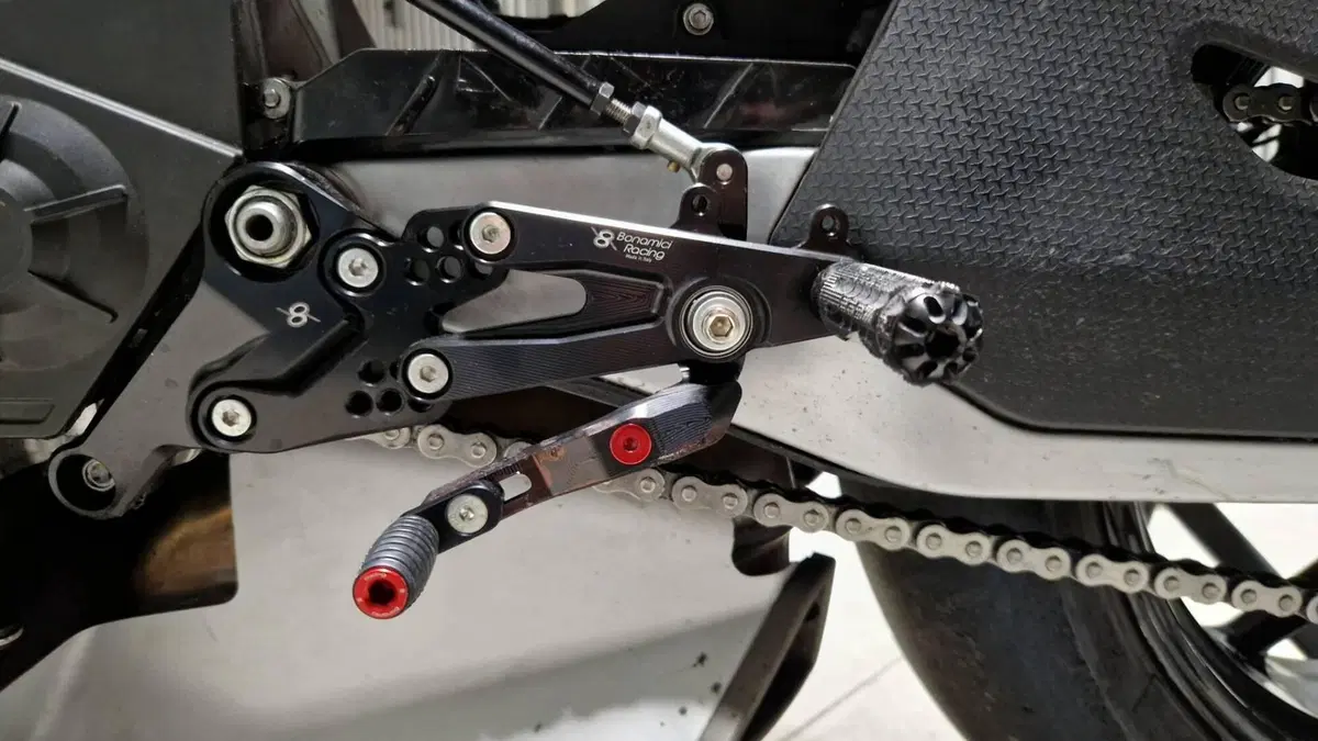 Aprilia RS 660 (2020 - 24)  (6)