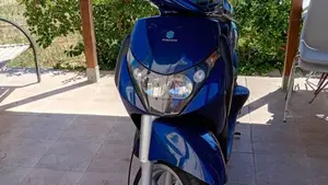 Piaggio Beverly 250 (2004 - 05)  (6)