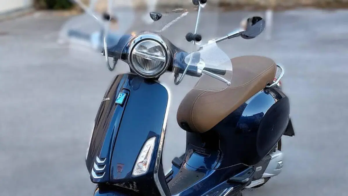 Vespa Primavera 150 (2021 - 23)  (2)