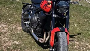 Triumph Trident 660 (2021 - 24)  (5)
