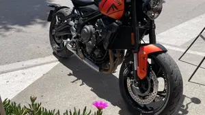 Triumph Trident 660 (2021 - 24)  (6)
