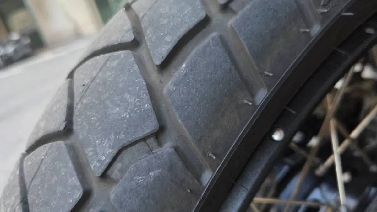 Bmw R 1300 GS Adventure Trophy (2025 - 26) 
