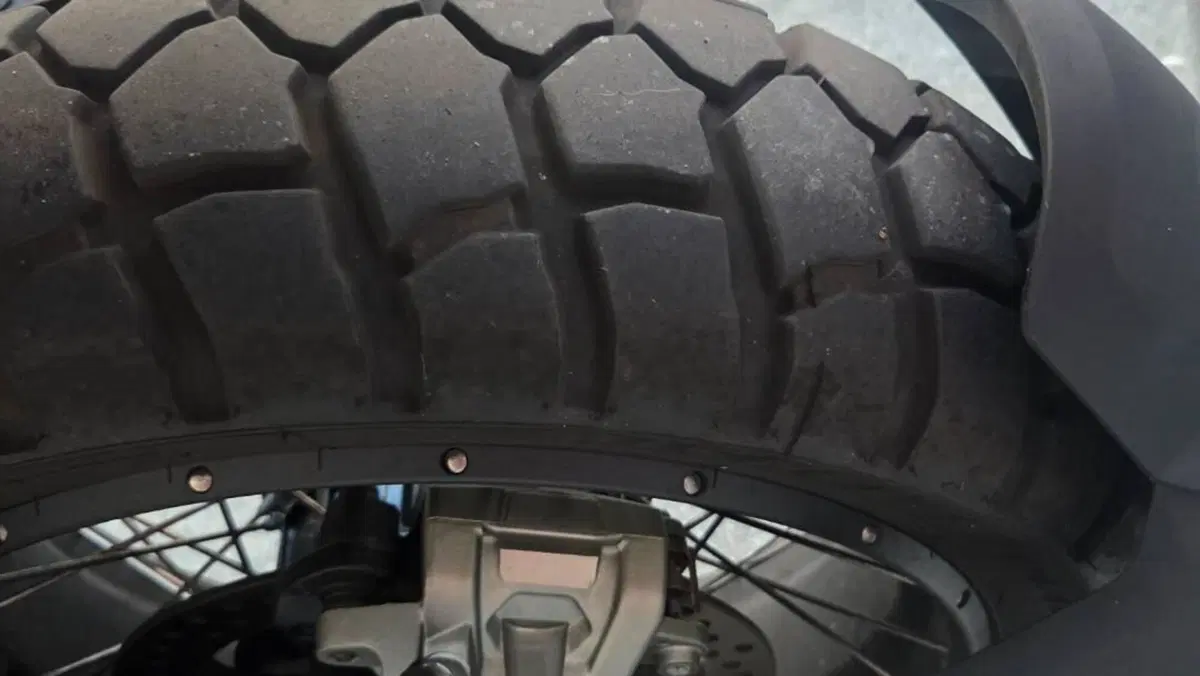 Bmw R 1300 GS Adventure Trophy (2025 - 26)  (2)