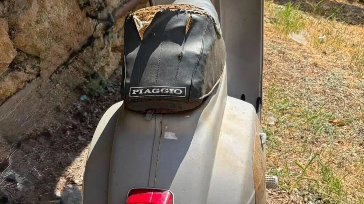 Piaggio   (3)