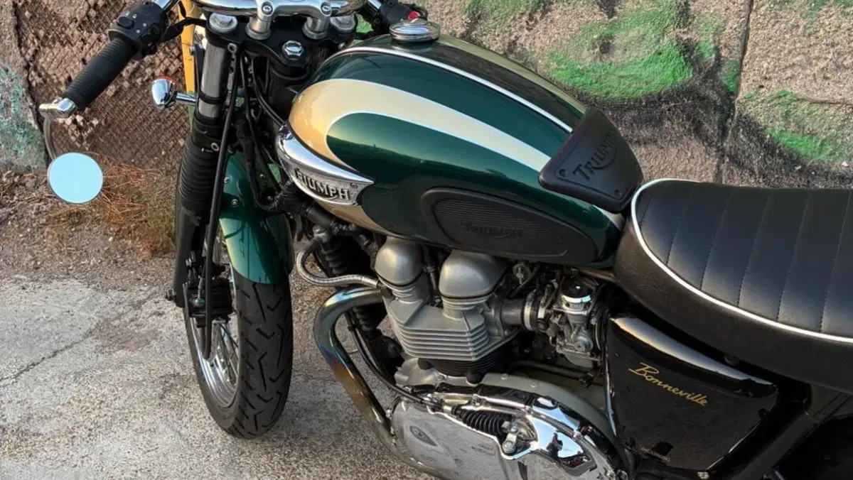 Triumph T 100  (15)