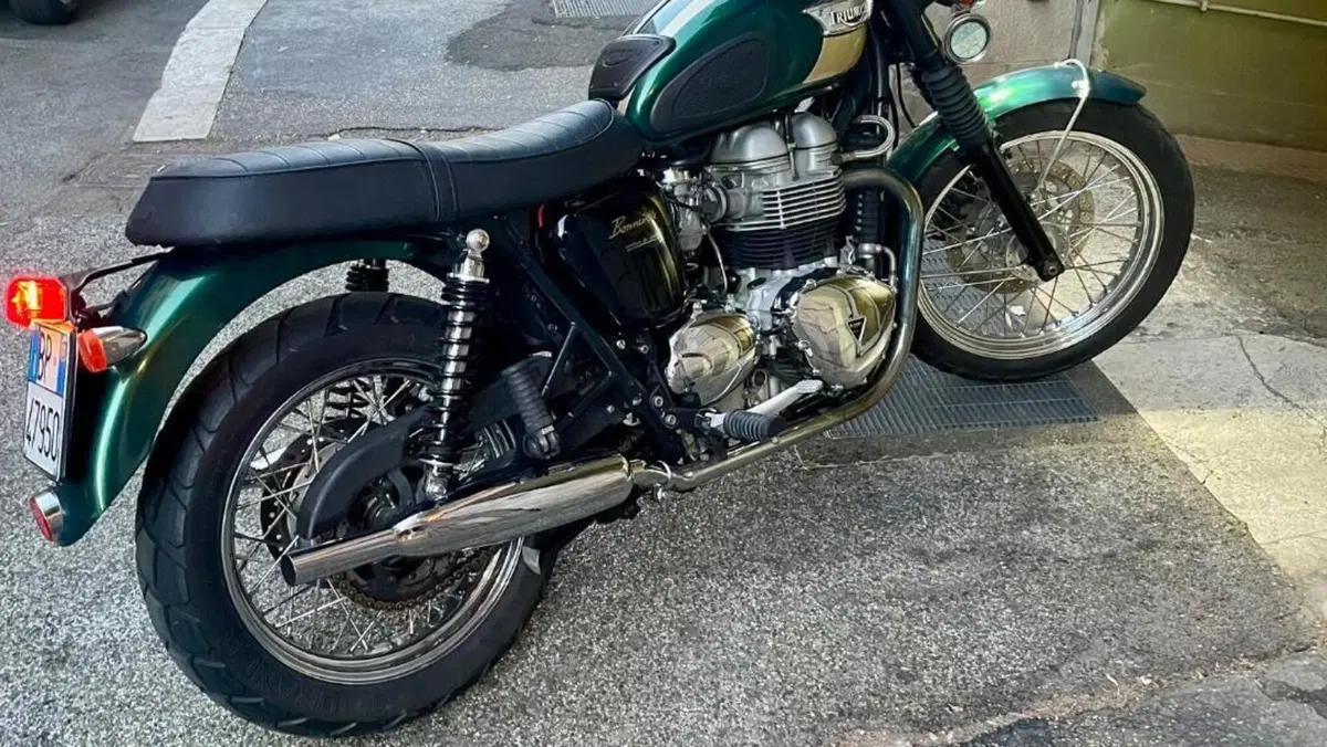 Triumph T 100  (17)