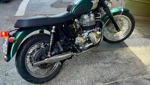 Triumph T 100  (17)