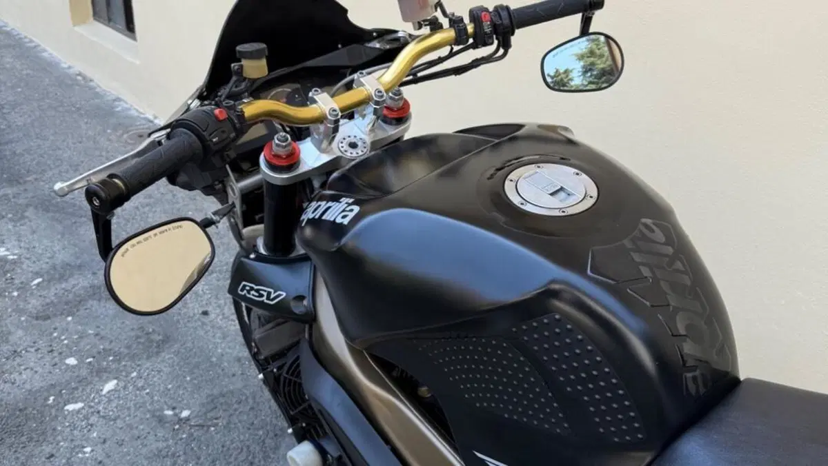 Aprilia Tuono 1000 R (2004 - 05)  (7)
