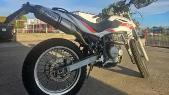 Betamotor Alp 4.0 (2008 - 17) usata