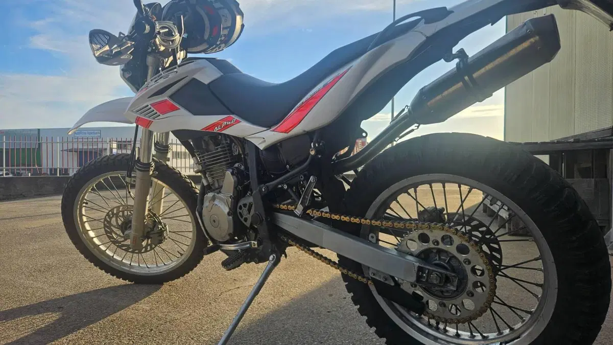 Betamotor Alp 4.0 (2008 - 17)  (2)