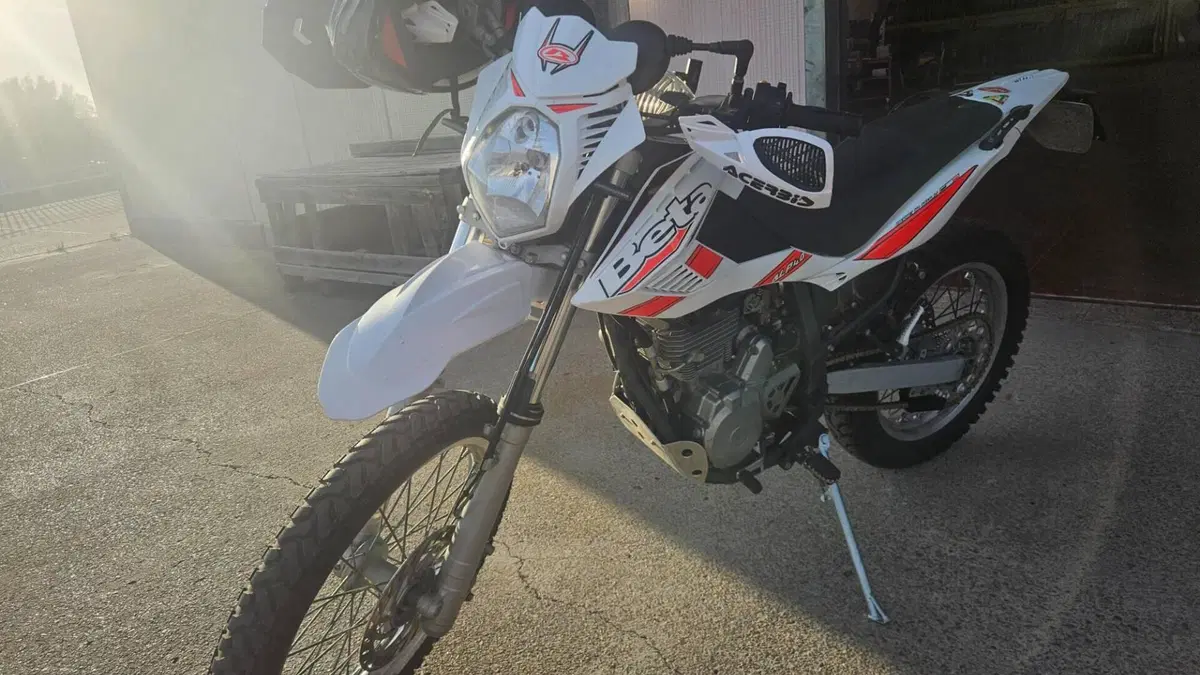 Betamotor Alp 4.0 (2008 - 17)  (3)