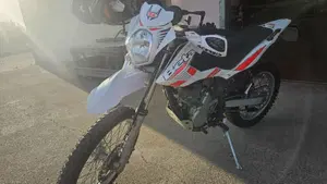 Betamotor Alp 4.0 (2008 - 17)  (3)