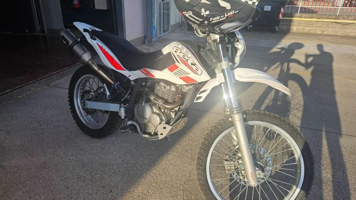 Betamotor Alp 4.0 (2008 - 17)  (4)